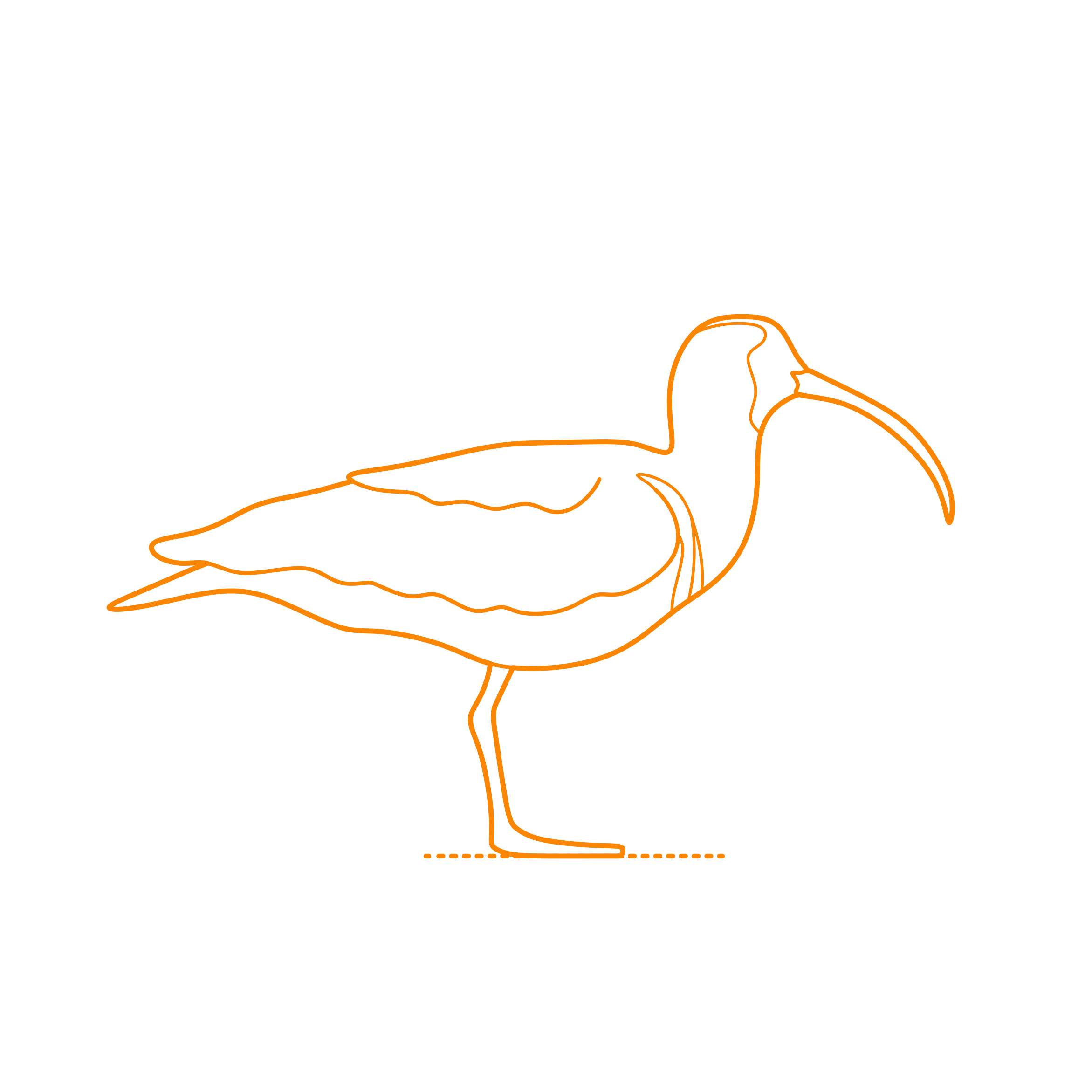 Animals Shorebirds Simple Line Art Svg Free Vectors
